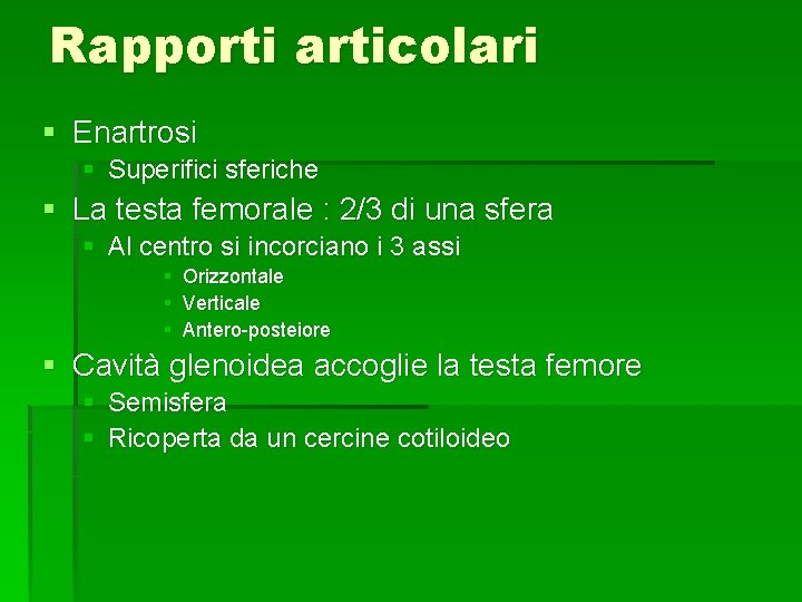 Rapporti articolari § Enartrosi § Superifici sferiche § La testa femorale : 2/3 di