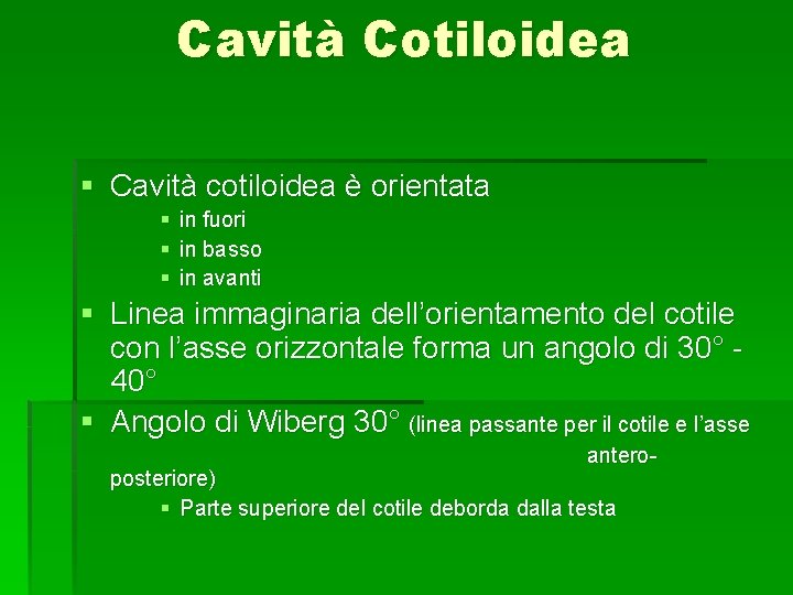 Cavità Cotiloidea § Cavità cotiloidea è orientata § in fuori § in basso §