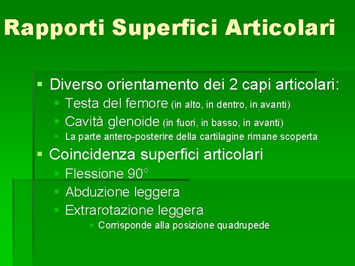 Rapporti Superfici Articolari § Diverso orientamento dei 2 capi articolari: § Testa del femore