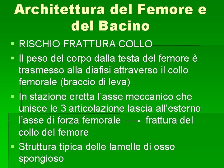 Architettura del Femore e del Bacino § RISCHIO FRATTURA COLLO § Il peso del