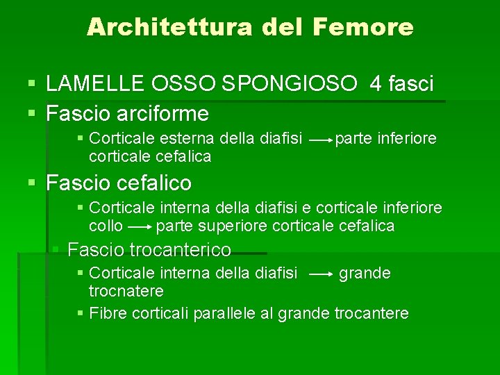 Architettura del Femore § LAMELLE OSSO SPONGIOSO 4 fasci § Fascio arciforme § Corticale