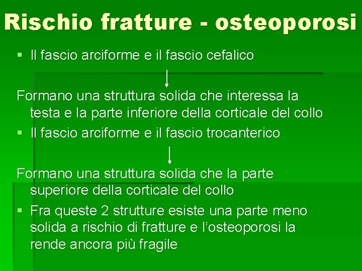 Rischio fratture - osteoporosi § Il fascio arciforme e il fascio cefalico Formano una