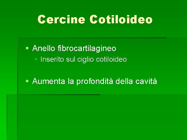 Cercine Cotiloideo § Anello fibrocartilagineo § Inserito sul ciglio cotiloideo § Aumenta la profondità