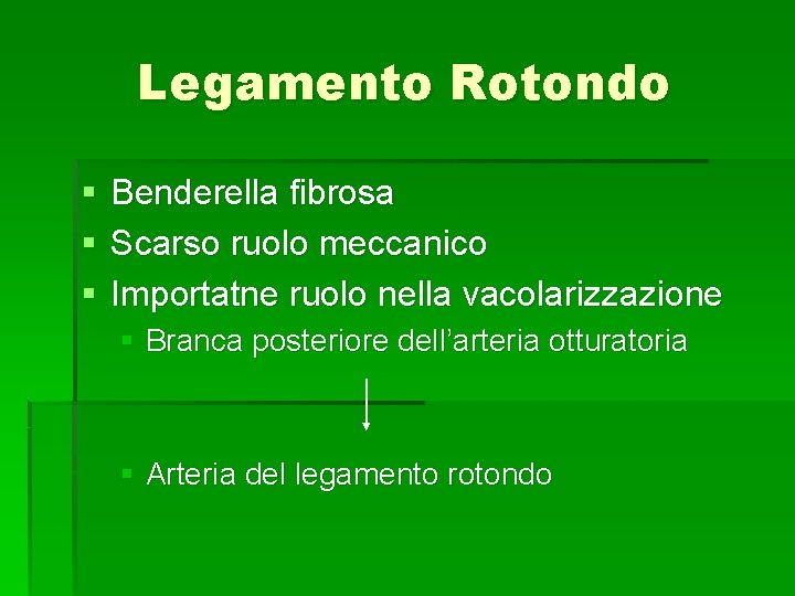 Legamento Rotondo § § § Benderella fibrosa Scarso ruolo meccanico Importatne ruolo nella vacolarizzazione