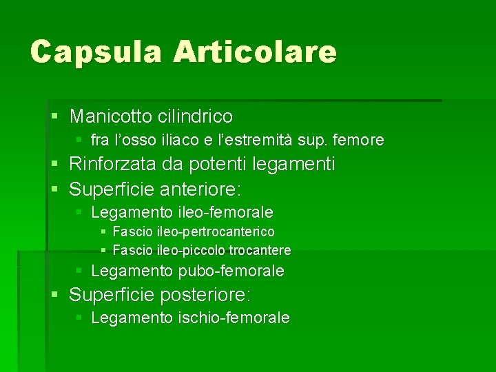 Capsula Articolare § Manicotto cilindrico § fra l’osso iliaco e l’estremità sup. femore §