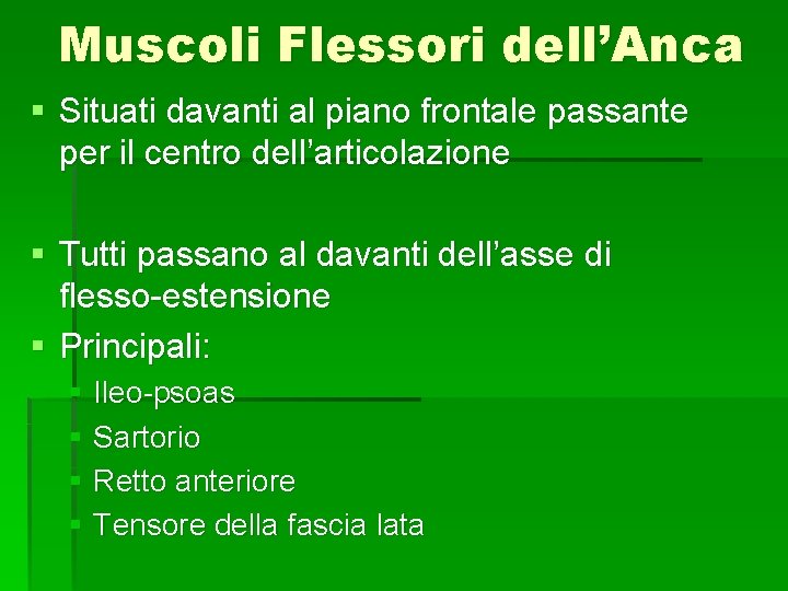 Muscoli Flessori dell’Anca § Situati davanti al piano frontale passante per il centro dell’articolazione