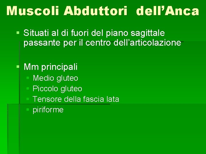 Muscoli Abduttori dell’Anca § Situati al di fuori del piano sagittale passante per il