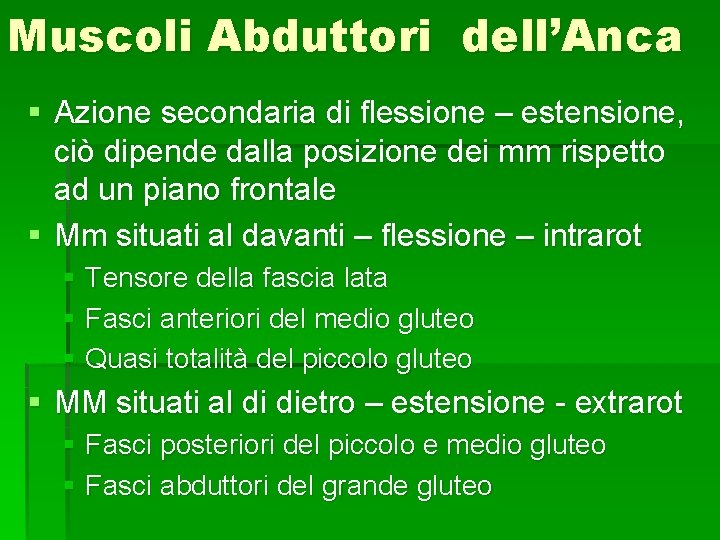 Muscoli Abduttori dell’Anca § Azione secondaria di flessione – estensione, ciò dipende dalla posizione