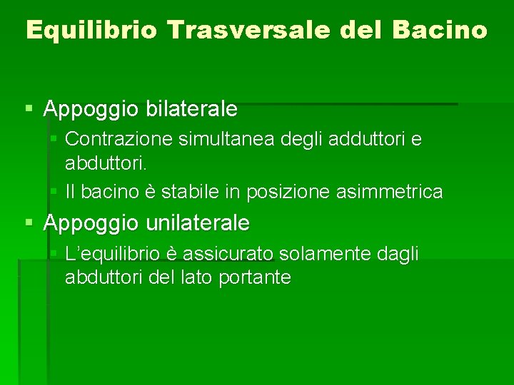 Equilibrio Trasversale del Bacino § Appoggio bilaterale § Contrazione simultanea degli adduttori e abduttori.