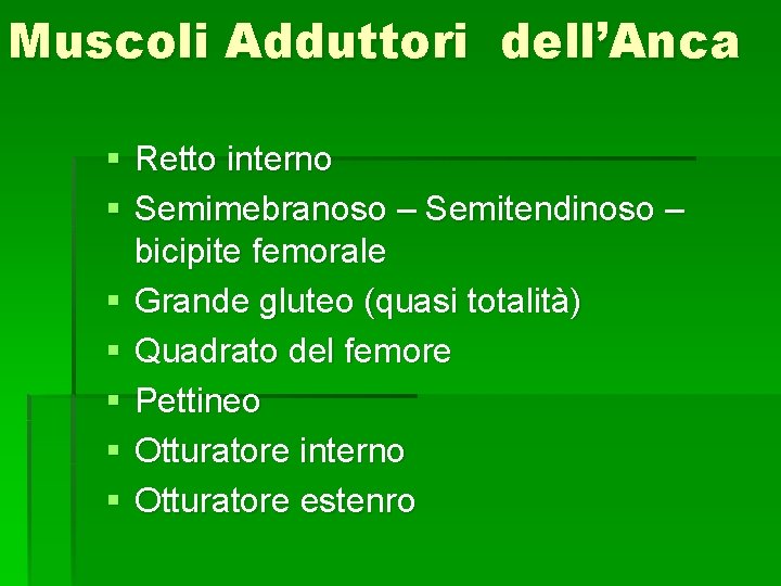 Muscoli Adduttori dell’Anca § Retto interno § Semimebranoso – Semitendinoso – bicipite femorale §