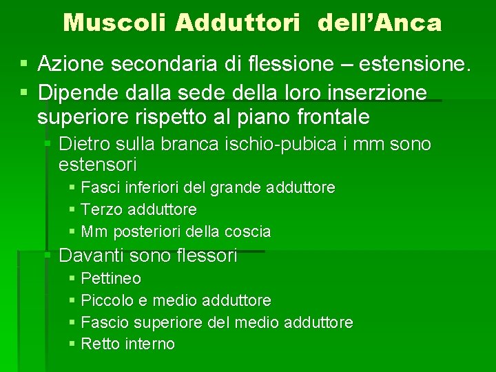 Muscoli Adduttori dell’Anca § Azione secondaria di flessione – estensione. § Dipende dalla sede