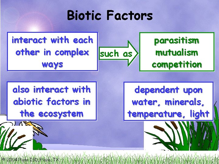 Biotic Factors interact with each other in complex such as ways also interact with