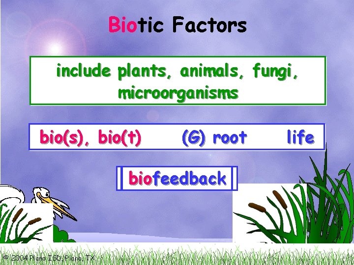 Bio Biotic Factors include plants, animals, fungi, microorganisms bio(s), bio(t) (G) root bio bio