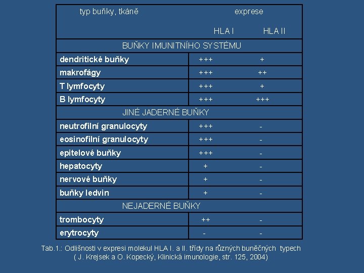  typ buňky, tkáně exprese HLA I HLA II BUŇKY IMUNITNÍHO SYSTÉMU dendritické buňky