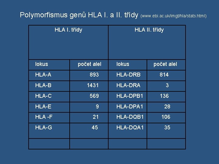  Polymorfismus genů HLA I. a II. třídy (www. ebi. ac. uk/imgt/hla/stats. html) HLA