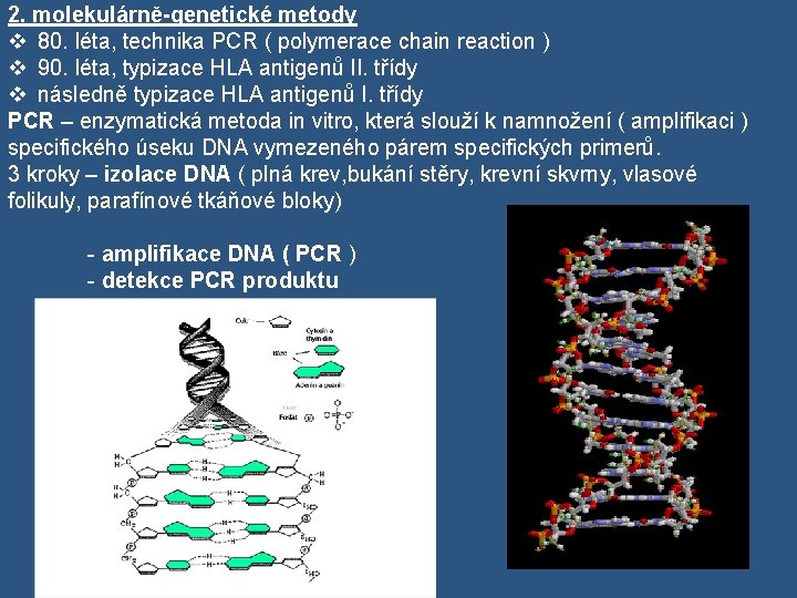 2. molekulárně-genetické metody v 80. léta, technika PCR ( polymerace chain reaction ) v