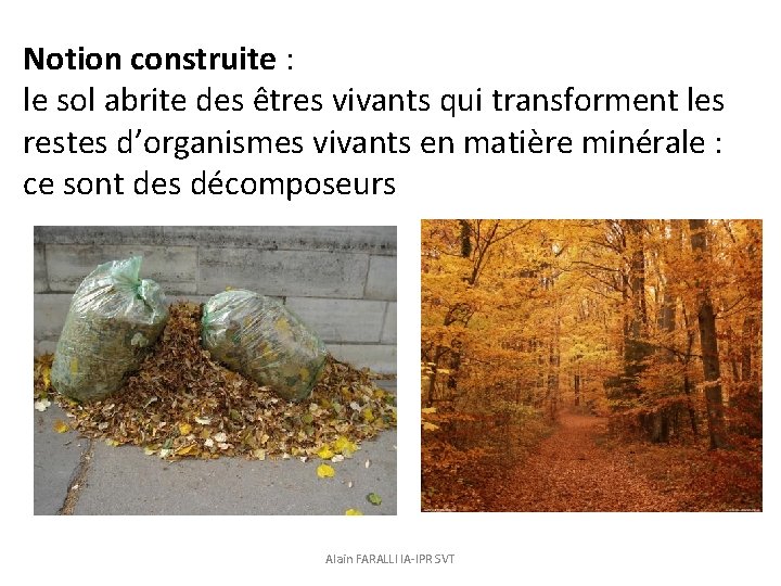 Notion construite : le sol abrite des êtres vivants qui transforment les restes d’organismes