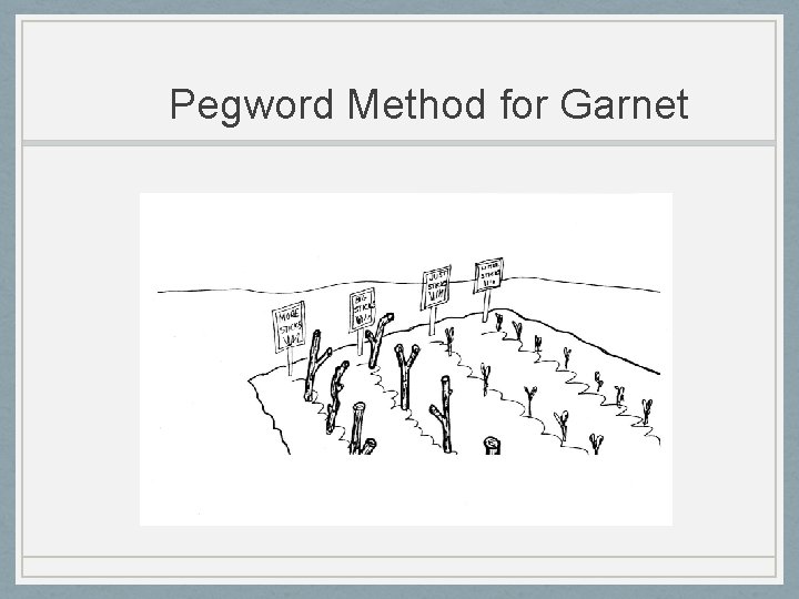 Pegword Method for Garnet 