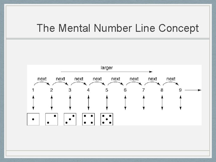 The Mental Number Line Concept 