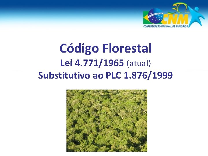 Código Florestal Lei 4. 771/1965 (atual) Substitutivo ao PLC 1. 876/1999 