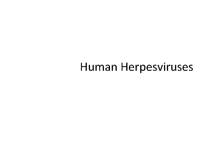 Human Herpesviruses 