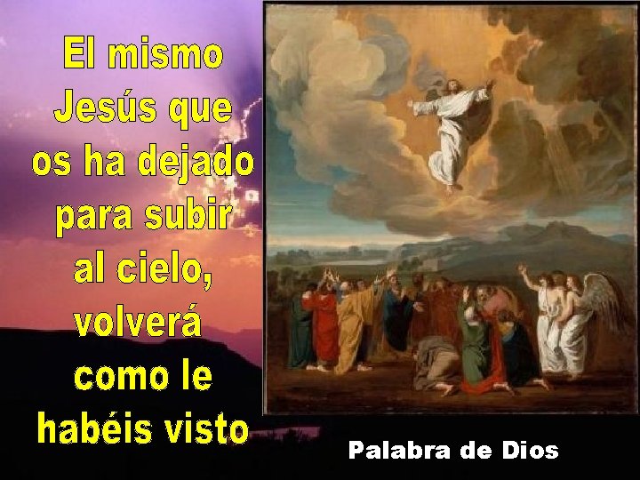 Palabra de Dios 