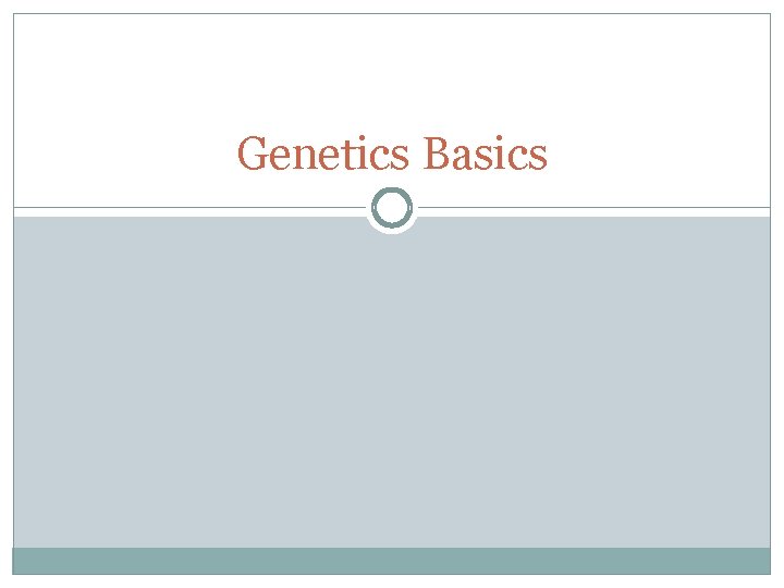 Genetics Basics 