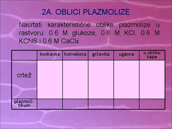 2 A. OBLICI PLAZMOLIZE Nacrtati karakteristične oblike plazmolize u rastvoru: 0. 6 M glukoze, 2 A. OBLICI PLAZMOLIZE Nacrtati karakteristične oblike plazmolize u rastvoru: 0. 6 M glukoze,