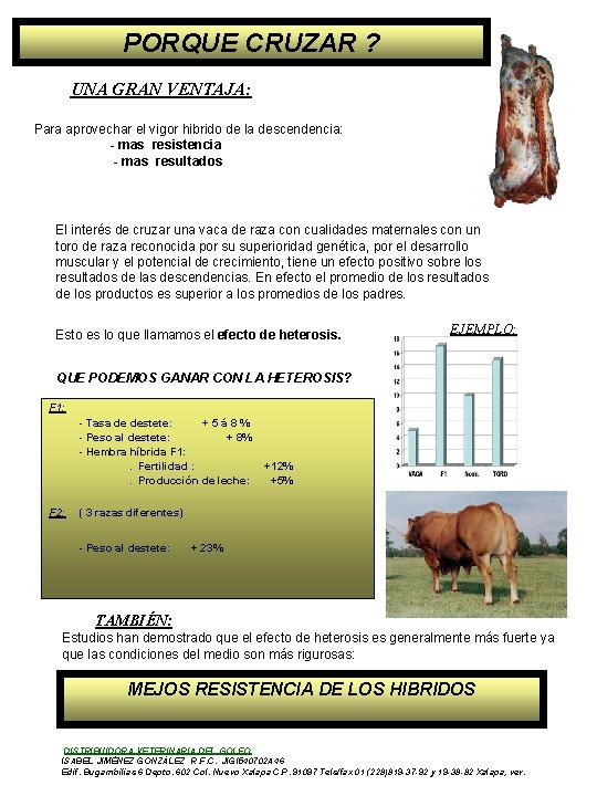 PORQUE CRUZAR ? UNA GRAN VENTAJA: Para aprovechar el vigor hibrido de la descendencia: