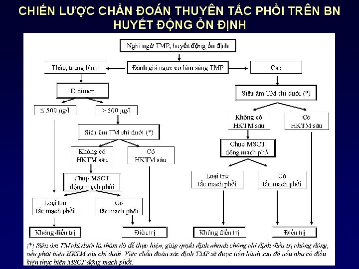 CHIẾN LƯỢC CHẨN ĐOÁN THUYÊN TẮC PHỔI TRÊN BN HUYẾT ĐỘNG ỔN ĐỊNH 