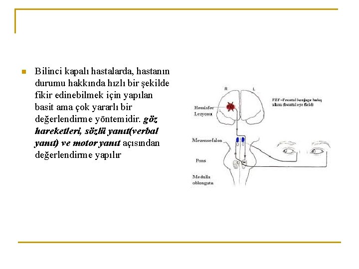 n Bilinci kapalı hastalarda, hastanın durumu hakkında hızlı bir şekilde fikir edinebilmek için yapılan