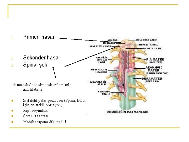 1. Primer hasar 2. Sekonder hasar Spinal şok 3. İlk müdahalede alınacak önlemlerle azaltılabilir!