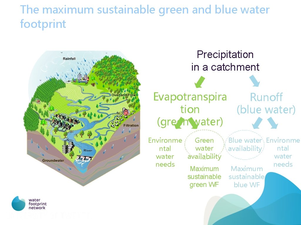 The maximum sustainable green and blue water footprint Precipitation in a catchment Evapotranspira Runoff