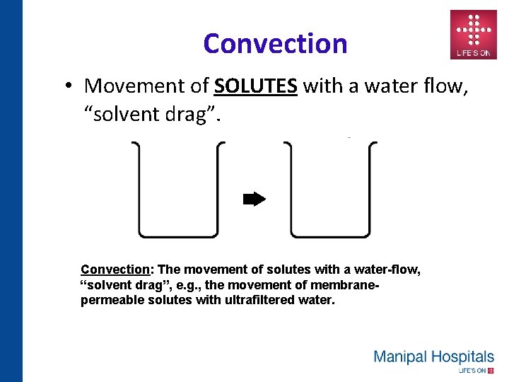 Convection • Movement of SOLUTES with a water flow, “solvent drag”. Convection: The movement