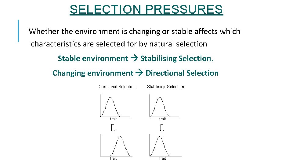 SELECTION PRESSURES Whether the environment is changing or stable affects which characteristics are selected