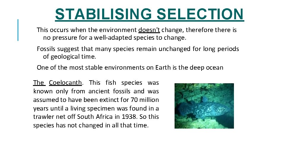 STABILISING SELECTION This occurs when the environment doesn't change, therefore there is no pressure