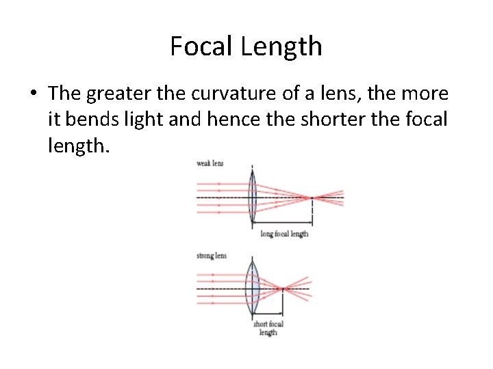 Focal Length • The greater the curvature of a lens, the more it bends