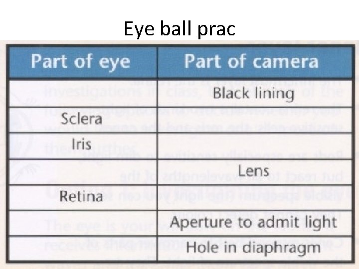 Eye ball prac 