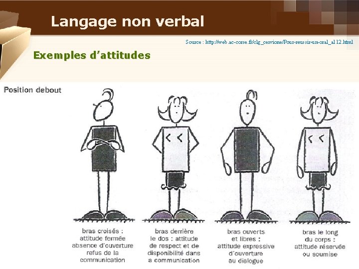 Langage non verbal Source : http: //web. ac-corse. fr/clg_cervione/Pour-reussir-un-oral_a 112. html Exemples d’attitudes 