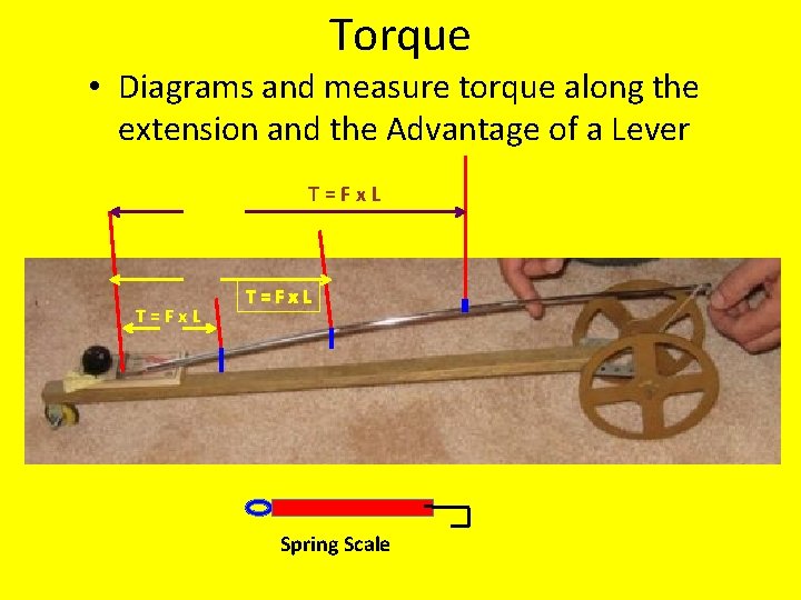 Torque • Diagrams and measure torque along the extension and the Advantage of a