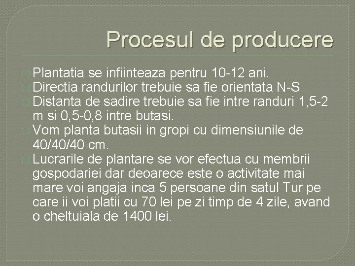 Procesul de producere � Plantatia se infiinteaza pentru 10 -12 ani. � Directia randurilor