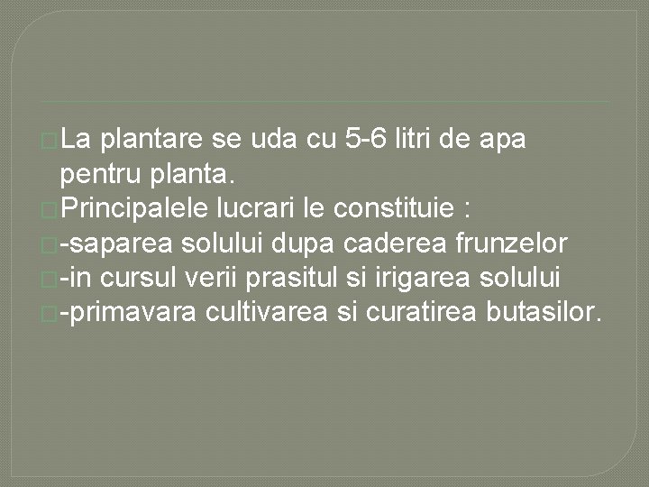 �La plantare se uda cu 5 -6 litri de apa pentru planta. �Principalele lucrari