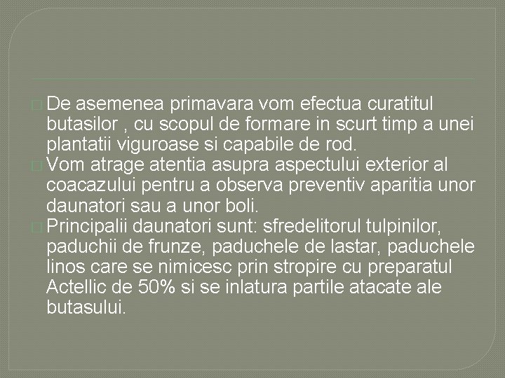 � De asemenea primavara vom efectua curatitul butasilor , cu scopul de formare in