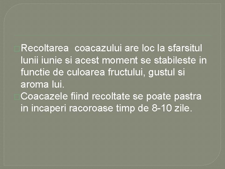 �Recoltarea coacazului are loc la sfarsitul lunii iunie si acest moment se stabileste in