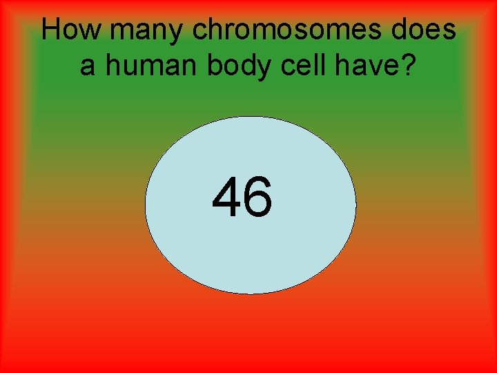 How many chromosomes does a human body cell have? 46 