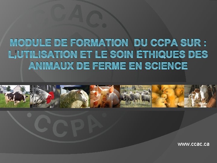 MODULE DE FORMATION DU CCPA SUR : L’UTILISATION ET LE SOIN ÉTHIQUES DES ANIMAUX