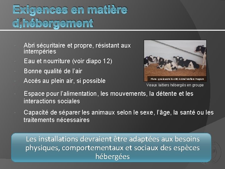 Exigences en matière d’hébergement Abri sécuritaire et propre, résistant aux intempéries Eau et nourriture