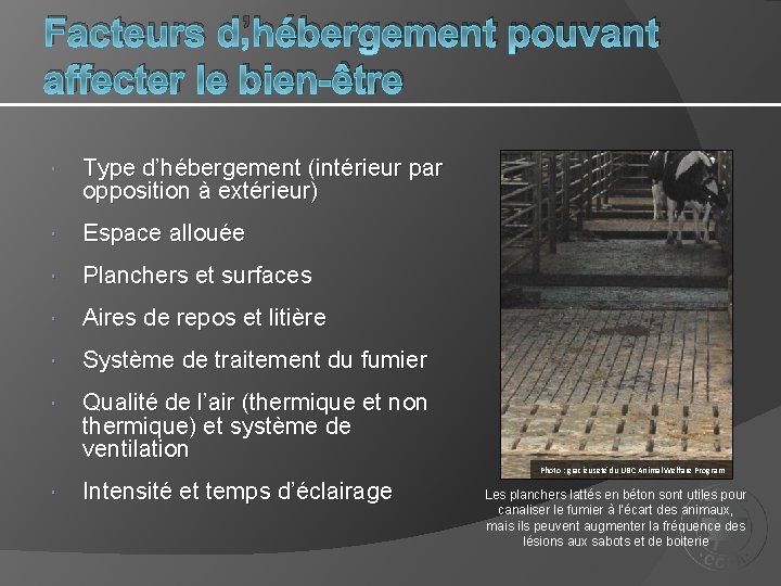 Facteurs d’hébergement pouvant affecter le bien-être Type d’hébergement (intérieur par opposition à extérieur) Espace