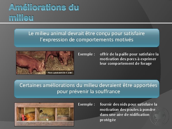 Améliorations du milieu Le milieu animal devrait être conçu pour satisfaire l’expression de comportements