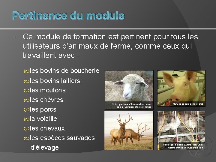 Pertinence du module Ce module de formation est pertinent pour tous les utilisateurs d’animaux